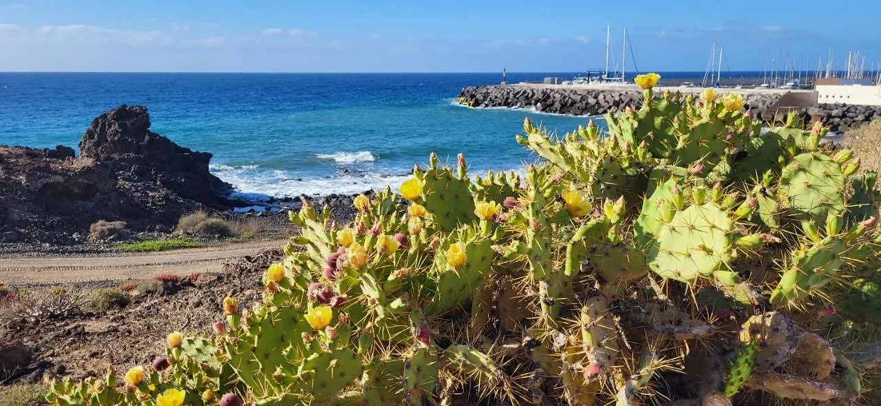 Apartment Albatros Tenerife Golf Sea View San Miguel de Abona